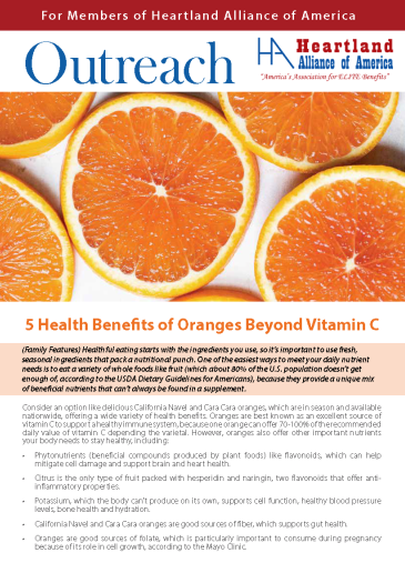 <? echo $newsletterlist->newsletter_image->description; ?>